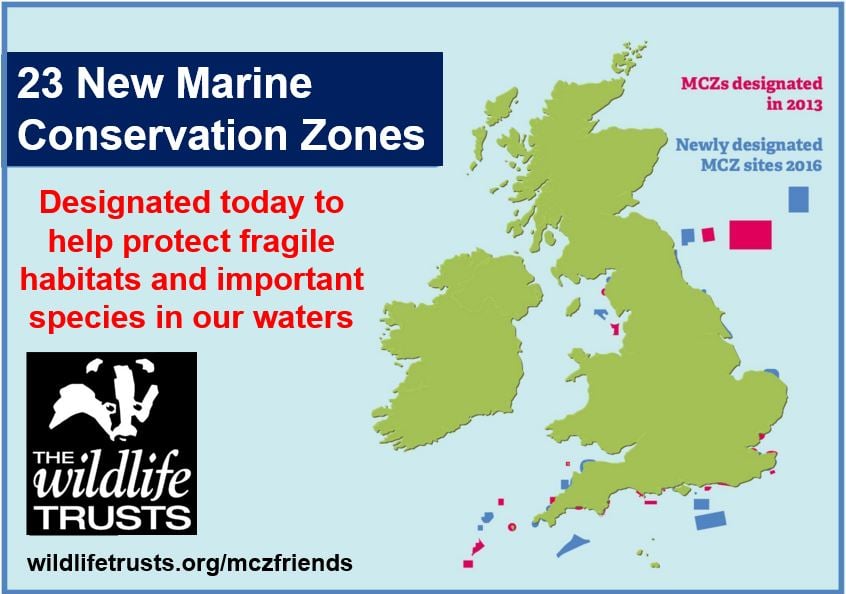 Marine Conservation Zones