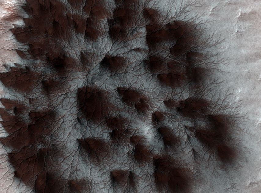 Martian spiders on the surface
