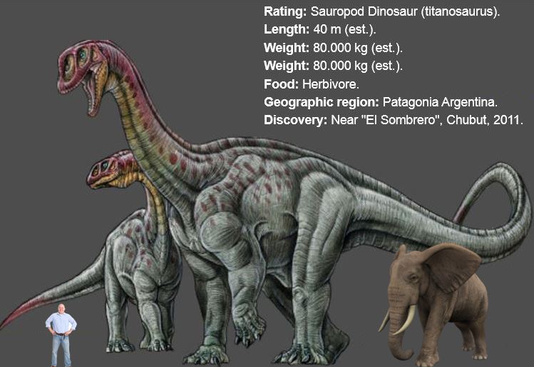 Massive dinosaur Titanosaur species