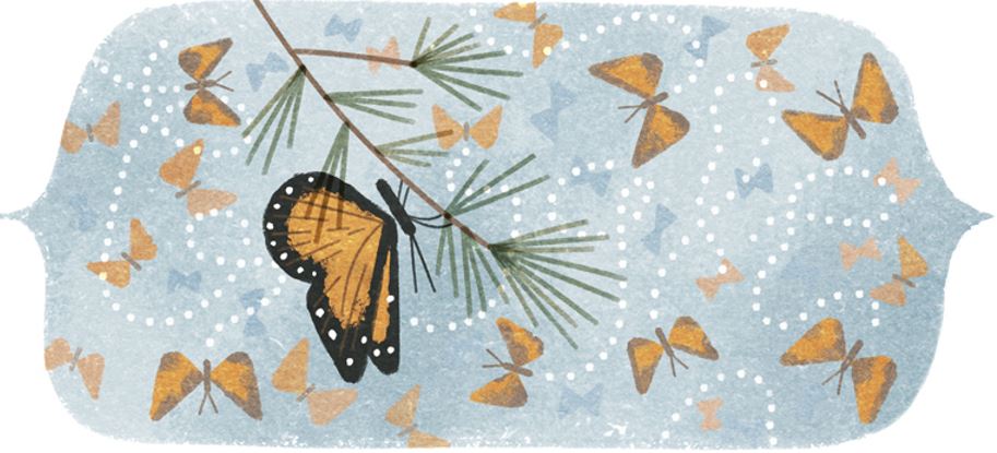 Mountain of Butterflies first Google Doodle of 2016