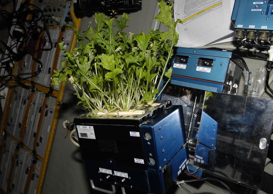 NASA has been space gardening for a long time