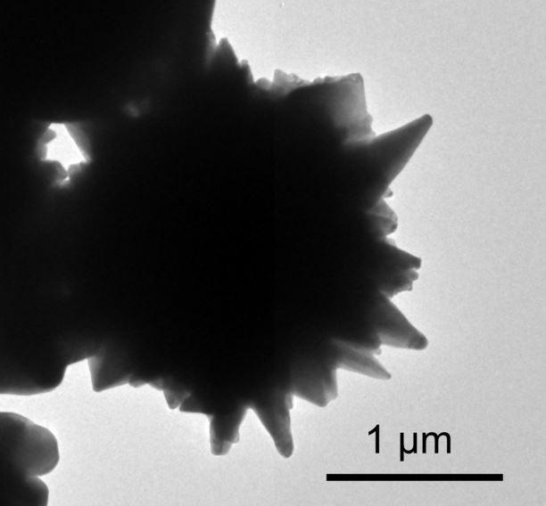 Spiky Nanoparticle