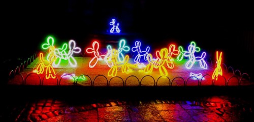 Neon Dogs at Lumiere London