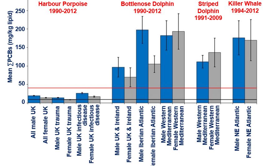 PCBs whales dolphins