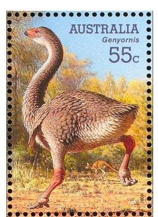 Postage Stamp of Genyornis Australia