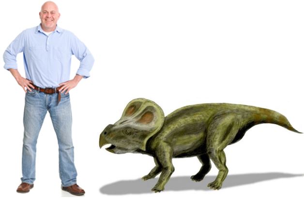 Protoceratop compared to a man