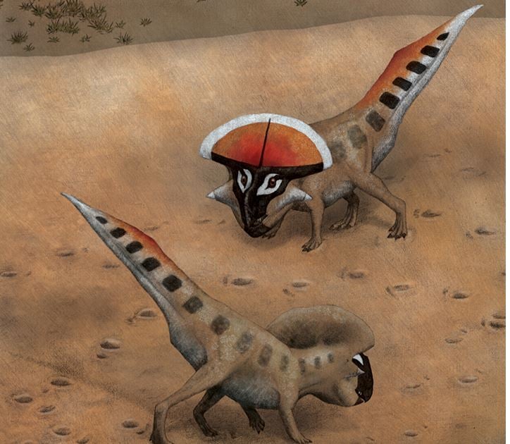 Protoceratops the sexiest were the horniest