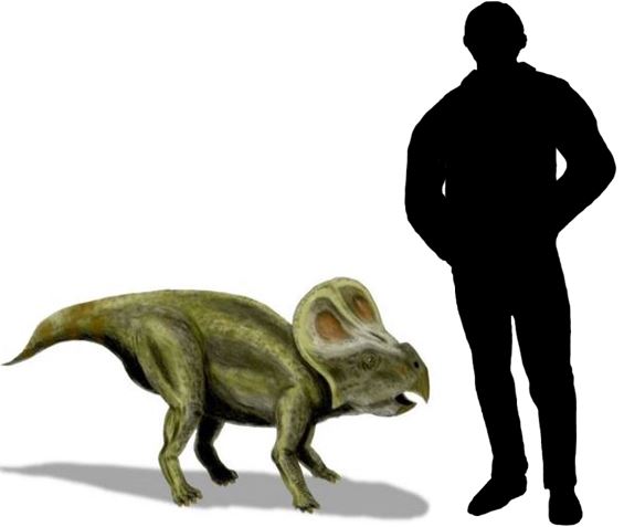 Protoceratops was a relatively small dinosaur.