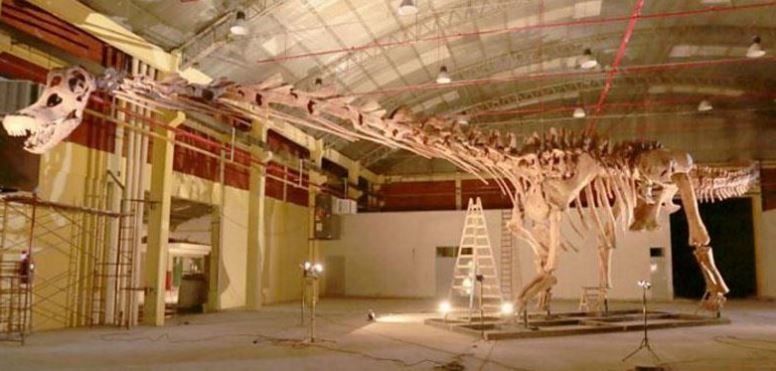 Skeleton model of the worlds largest dinosaur