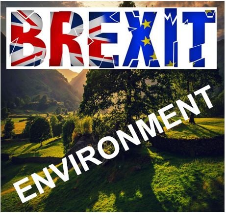 What effect would Brexit have on UK environment