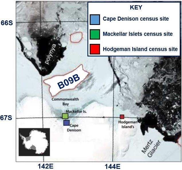 150000 penguins starved to death by mega huge iceberg