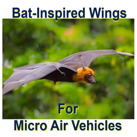 Bat inspired wings for Micro Air Vehicles developed in UK