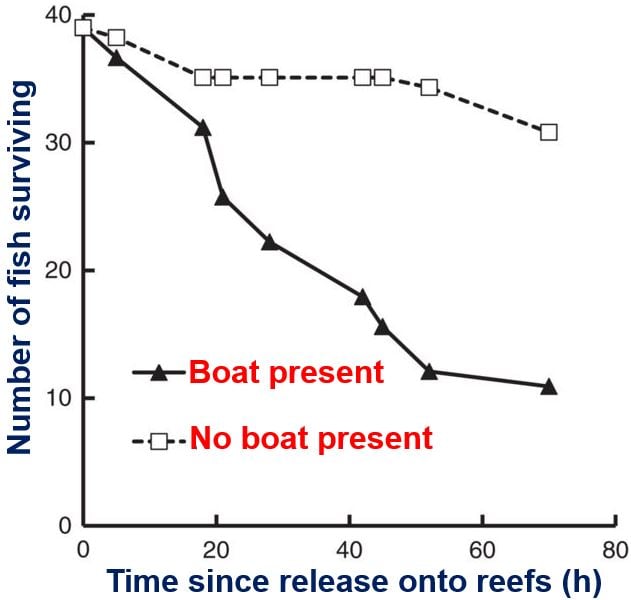 Boat noise and marine prey survival