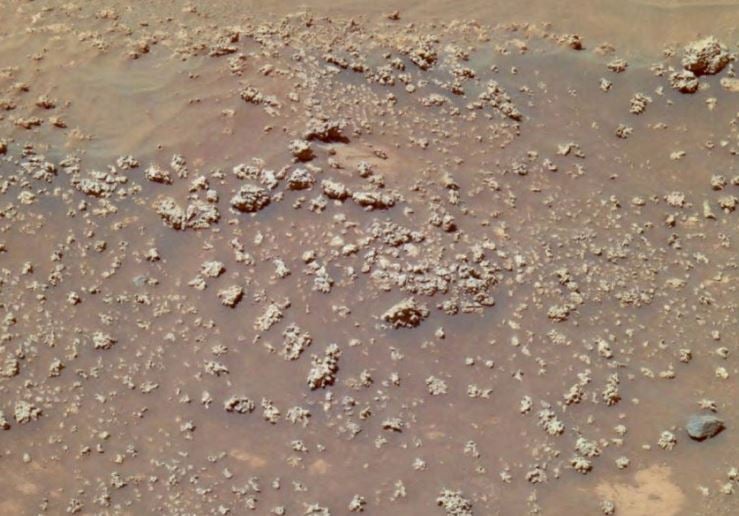 Cauliflower silica formations caused by Martian life perhaps