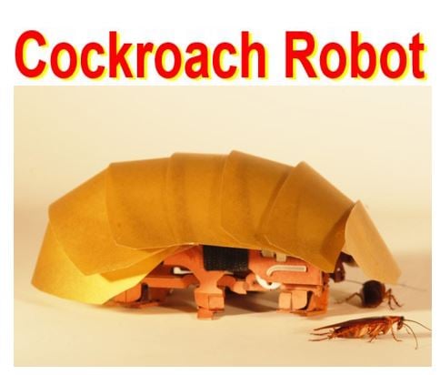 Cockroach robot created by Berkeley engineers