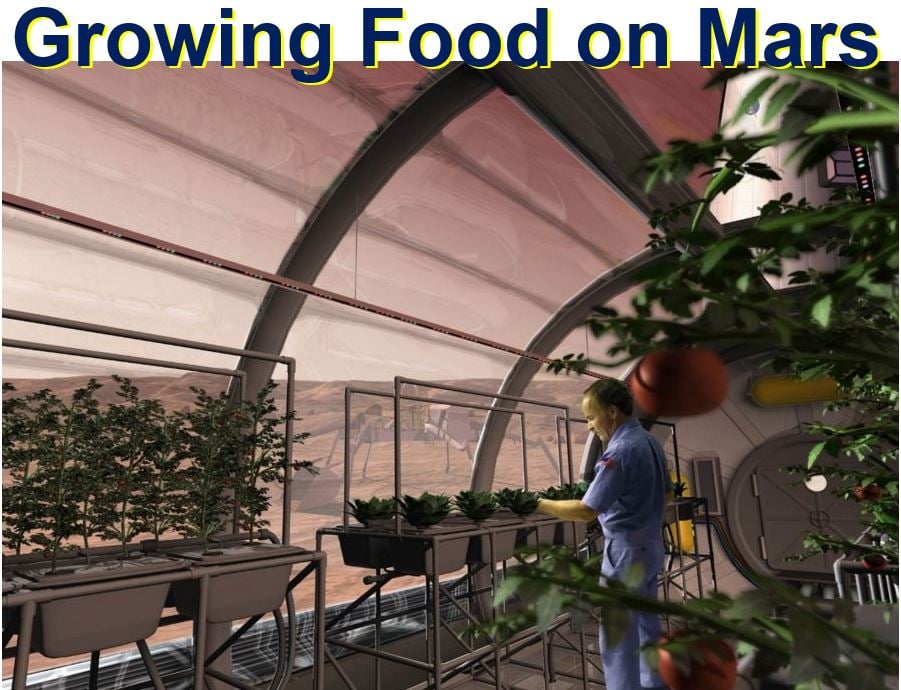 Growing food on Mars