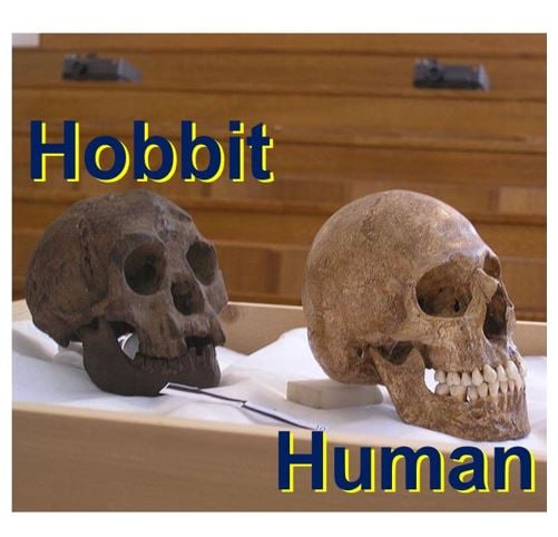 Hobbit was not human had no unique human traits