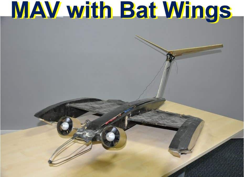 MAV with bat like wings