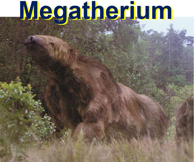 Megatherium