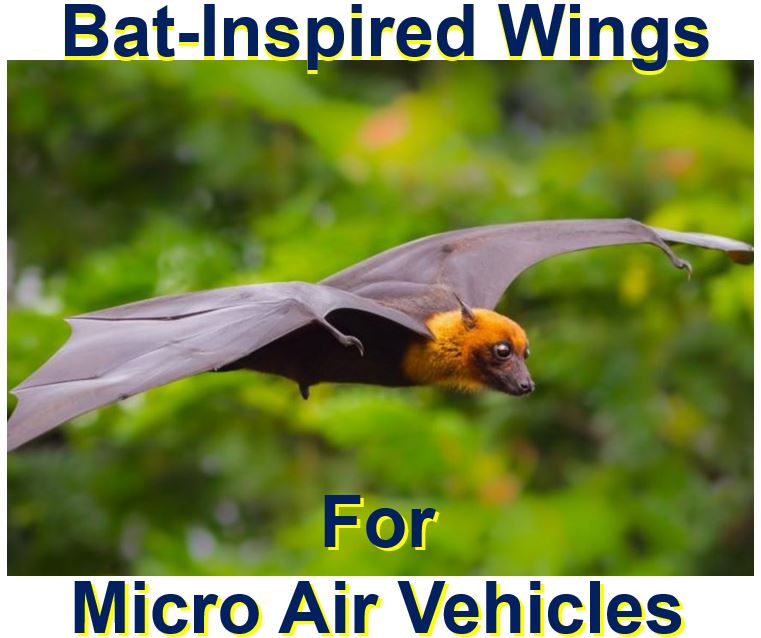 Micro Air Vehicles with bat wings