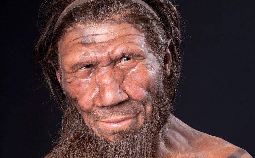 Neanderthal face