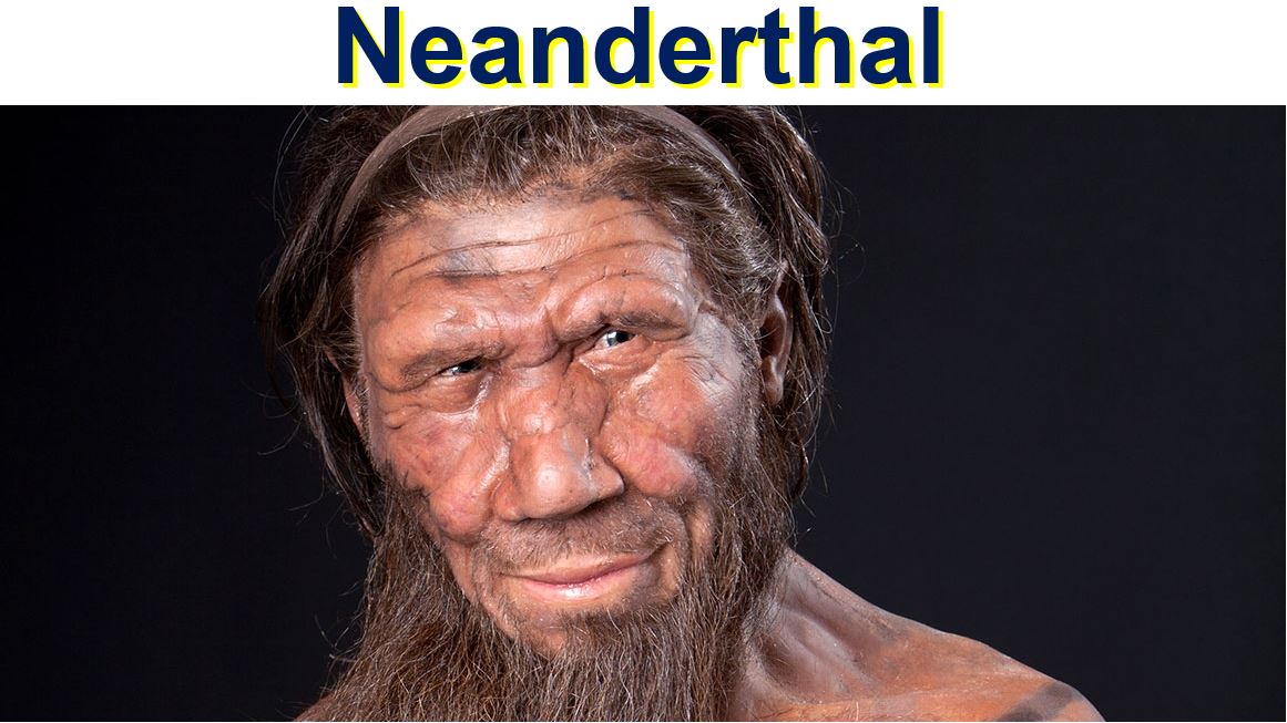 Neanderthal