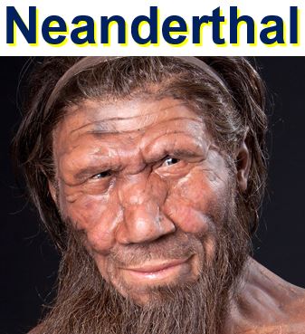 Neanderthals and modern humans mated 100000 years ago