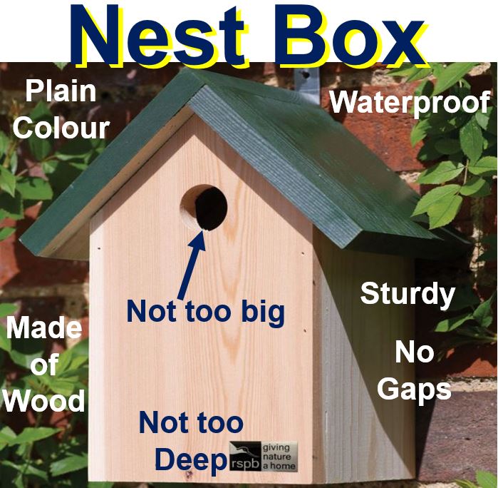 Nest boxes need to be safe