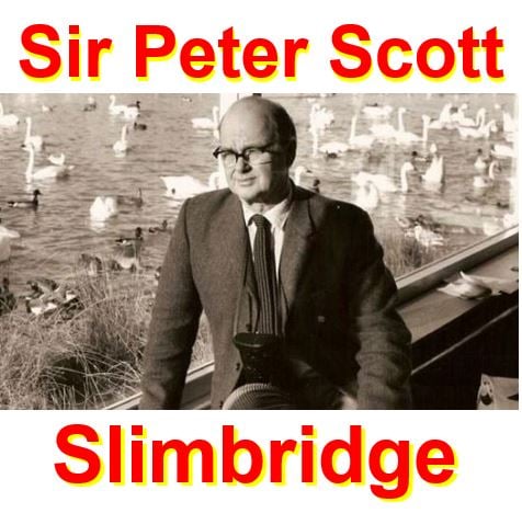 Slimbdridge and Sir Peter Scott