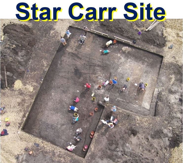 Star Carr excavation site