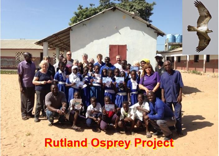 Teaching schoolchildren about osprey migration