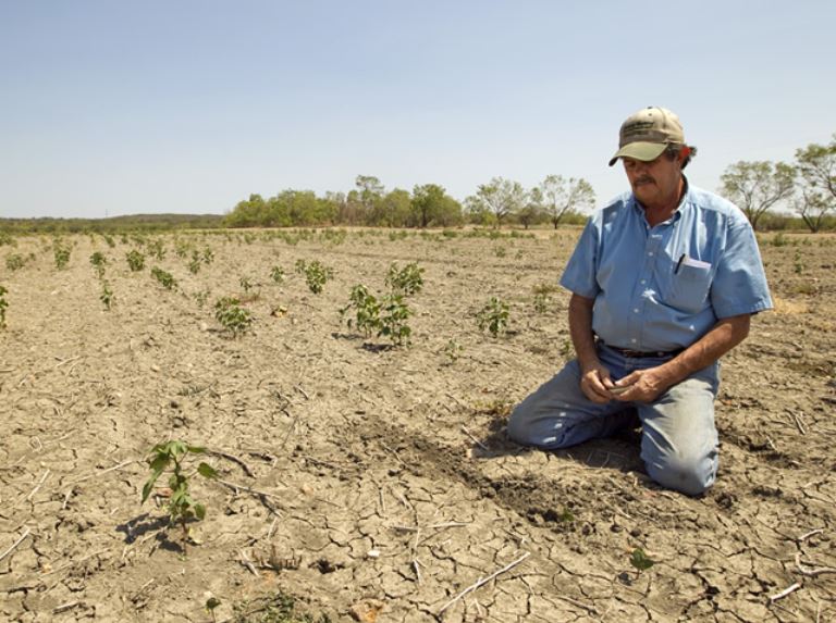 Texas drought of 2011