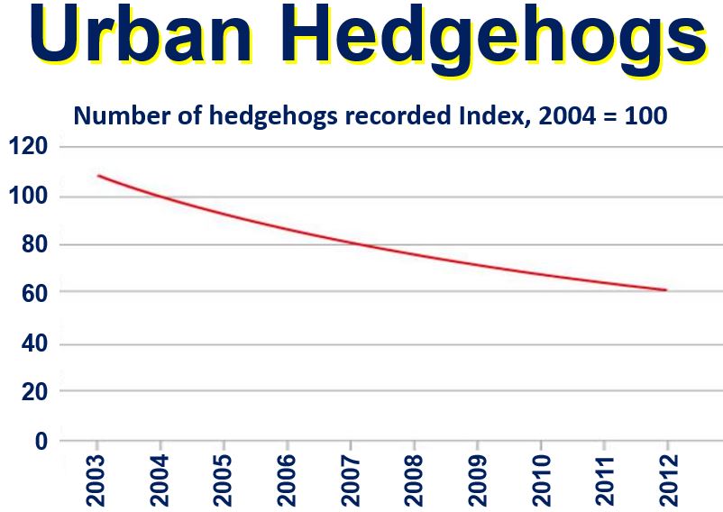 Urban Hedgehogs