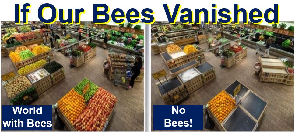 World with or without bees