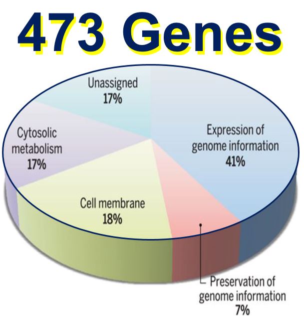 473 genes in one organism