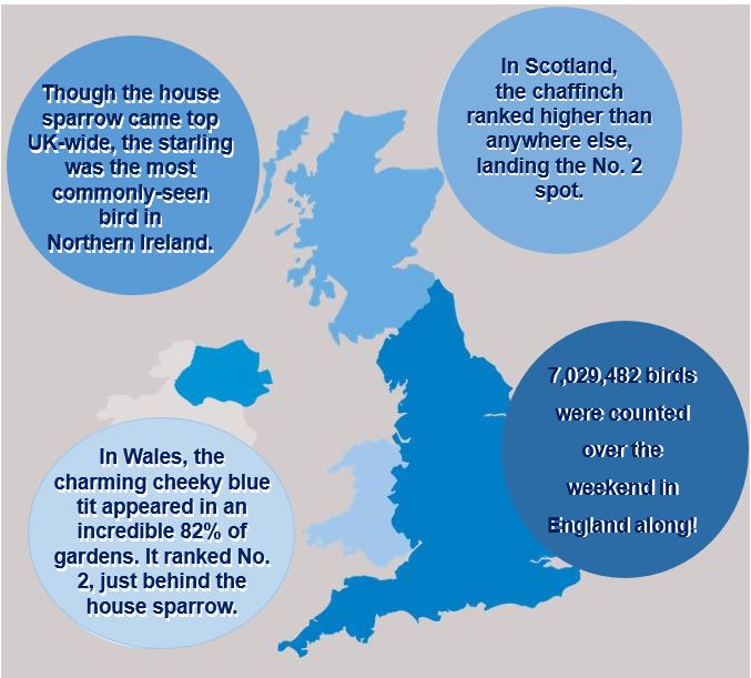 Bird numbers across the UK