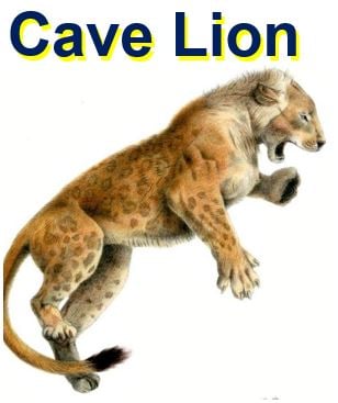 Cave Lion or Siberian Lion might be cloned by scientist