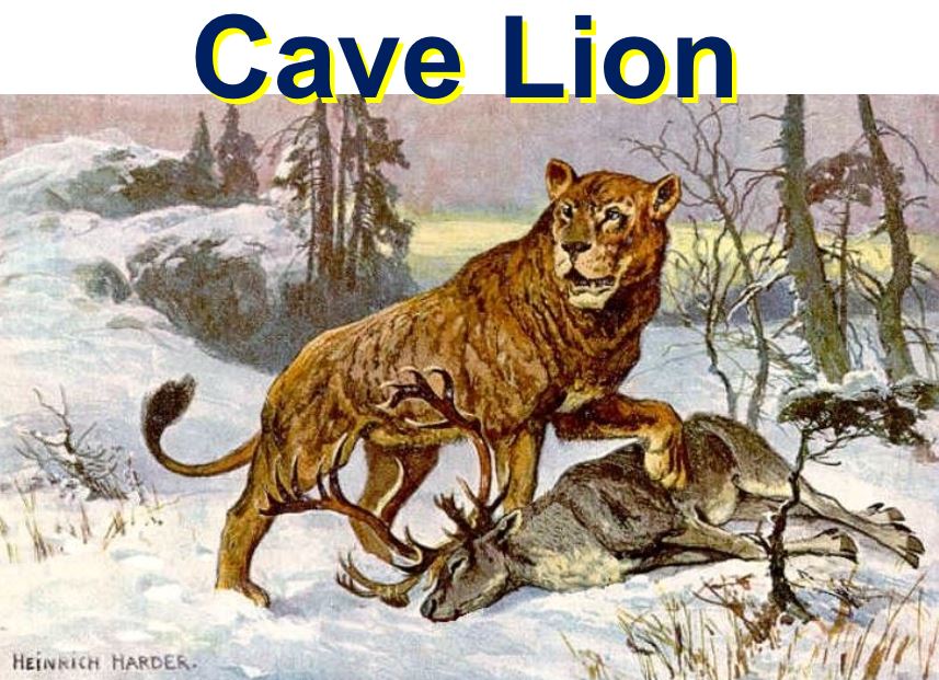 Cave Lion with prey