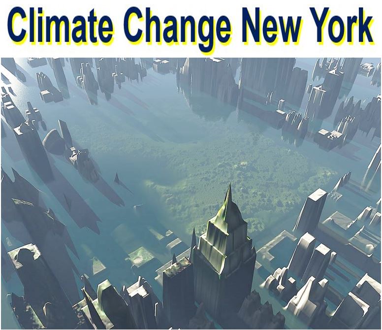 Climate Change New York