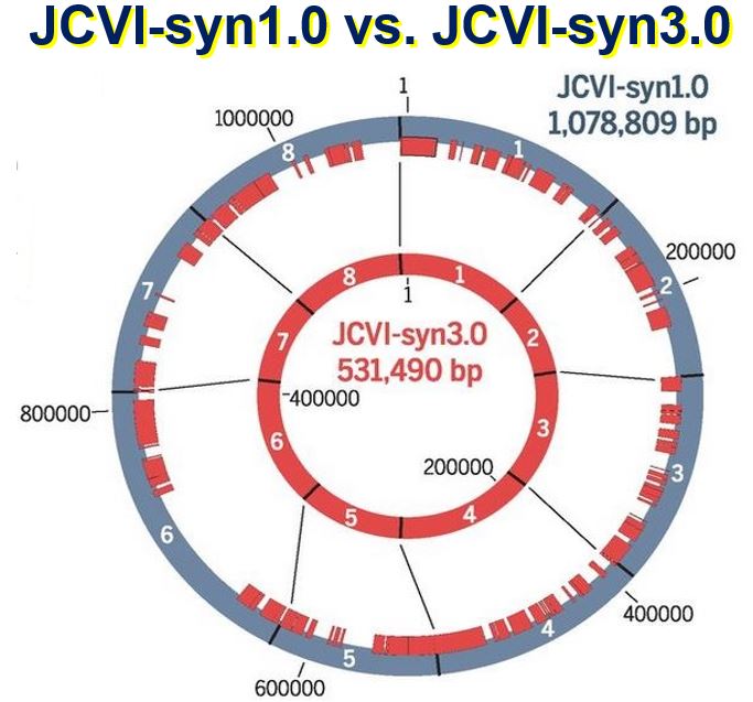 Comparing JCVIsyn1 with with JCVI syn3