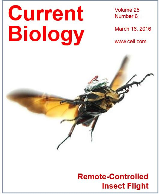 Front cover of Current Biology