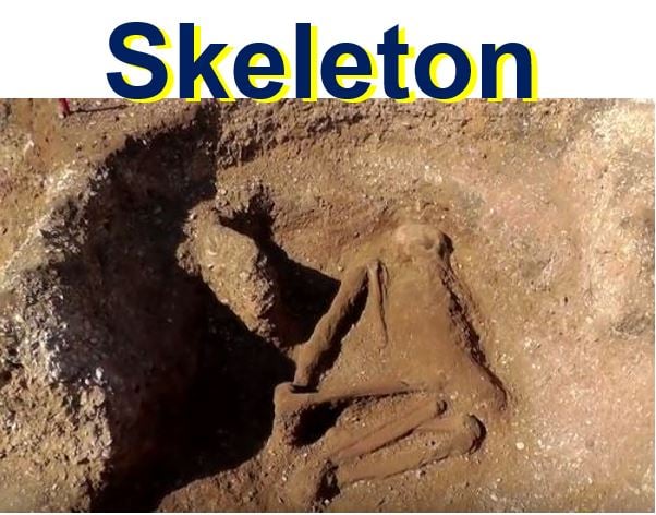 Human skeleton found at Iron Age graveyard