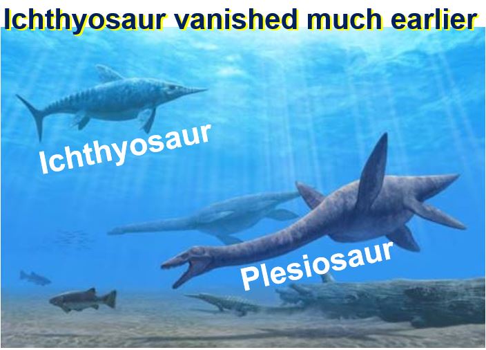 Ichthyosaur vanished much earlier