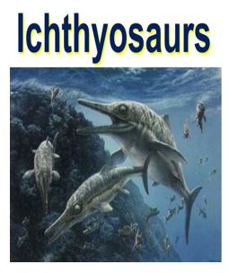 Ichthyosaurs killed off 100 million years ago