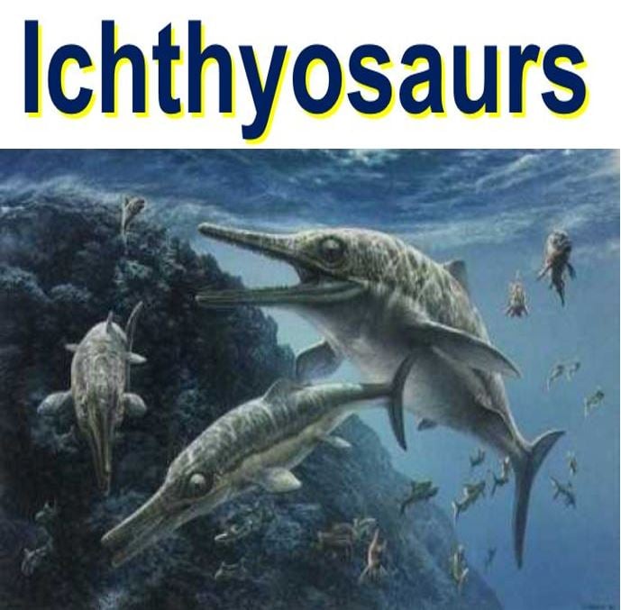 Ichthyosaurs were killed off by climate change