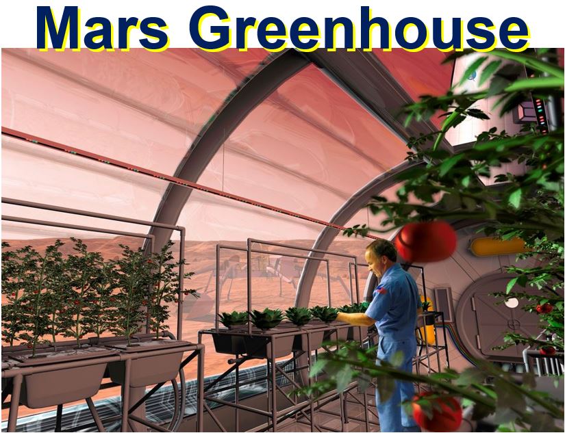 Mars Greenhouse