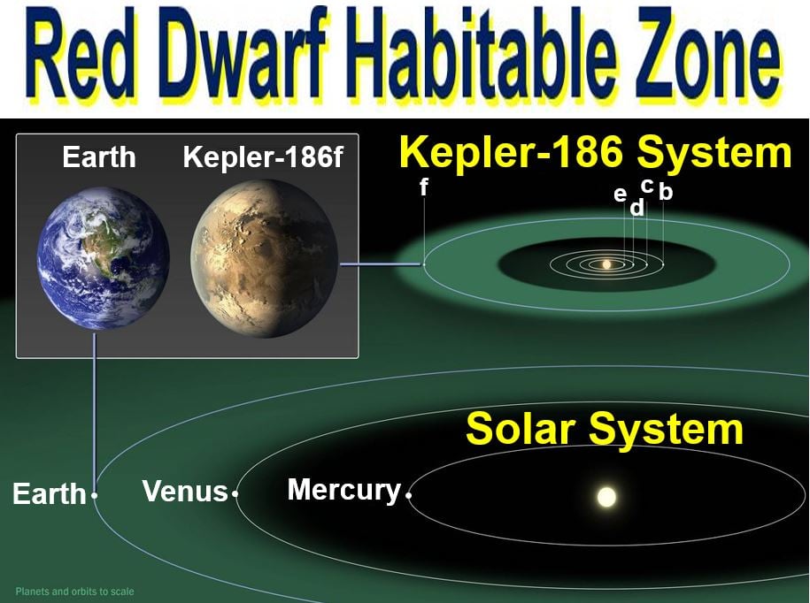 Red Dwarf Habitable Zone