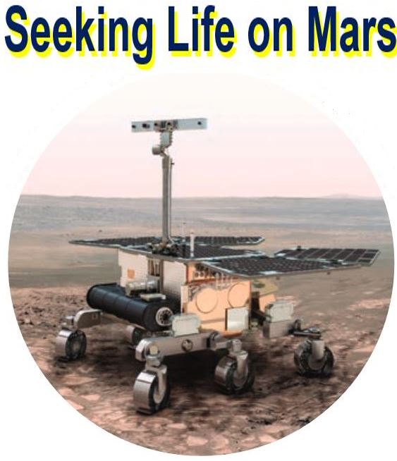 Seeking life on Mars