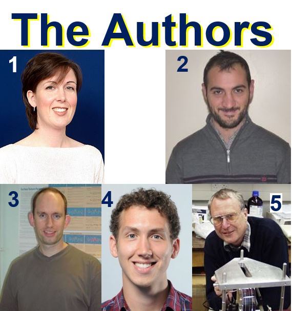 The Authors