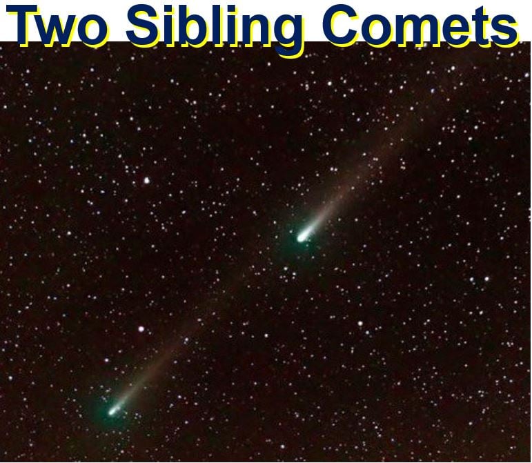 Two sibling comets